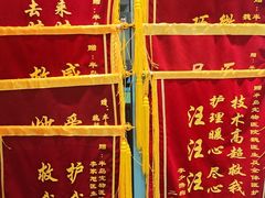 -半岛宠物医院24小时·内窥镜·牙科·碎石中心(府城大道店)