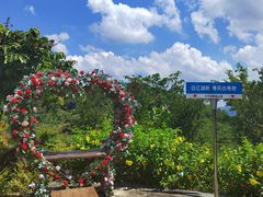 -广州白江湖森林公园