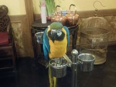 -那家小馆•北京菜•烤鸭(中关村店)