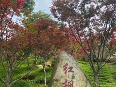 -广州市帽峰山景区