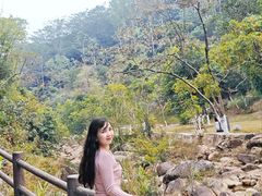 -广州白江湖森林公园