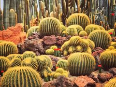 -南通洲际绿博园