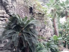 android_upload_pic-龙达温泉生态城
