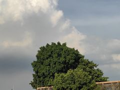 -长洲岛