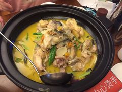 -饭怕鱼·黄焖鲟龙鱼(湖大店)