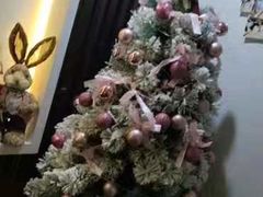 -Husky Go! 哈士奇体验馆·宠物咖啡厅狗咖