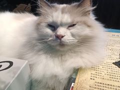 -暗楼·剧本杀·桌游