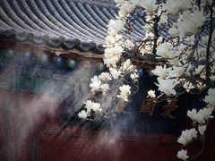 -万寿八仙宫