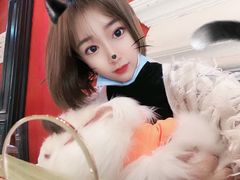 -猫色咖啡·猫咖