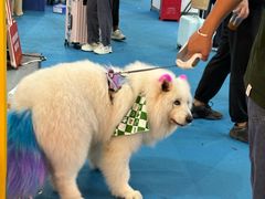 -东浩兰生上海世博展览馆