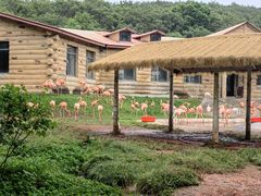 -哈尔滨北方森林动物园