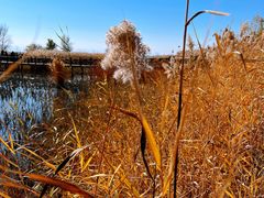 -野鸭湖国家湿地公园