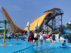 -秦皇岛乐岛海洋王国