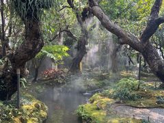 -Chom Cafe and Restaurant