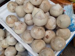 -三亚新鸿港水果一级批发市场