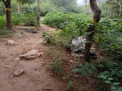 -北京西山国家森林公园