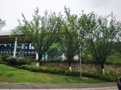 -铁山坪森林公园