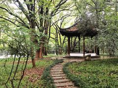 -杭州植物园