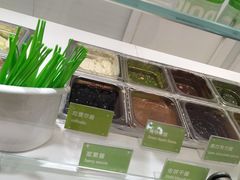 零售区-Salud撒露欧洲冻酸奶(蓝色港湾店)