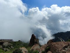 -白草畔自然风景区