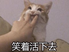 -利强记北角鸡蛋仔(弥敦道店 )