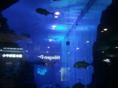 -成都浩海立方海洋公园