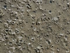 -北海金海湾红树林生态旅游区