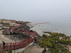 -养马岛旅游度假区