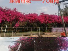 -青青世界