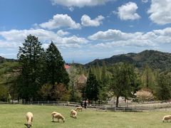 -神户市立六甲山牧场