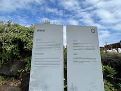-涉地可支