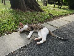 -晓港公园