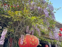 -三林塘老街