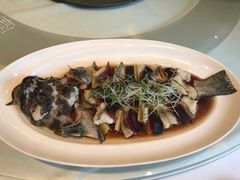 -富淳饭店(陆家嘴保利广场店)
