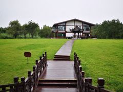 -南湖湿地公园