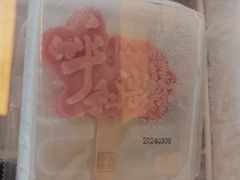 -呼和浩特博物馆