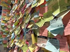 -古树酸奶(八廓南街店)