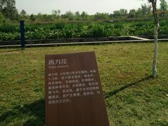 -白鹭湾湿地公园