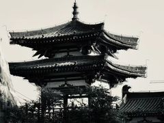 -西安青龙寺遗址景区