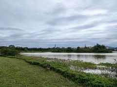 -风云岭森林公园