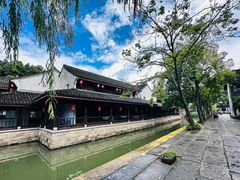 -鲁镇