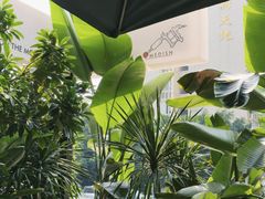 -MEDISN·药厂