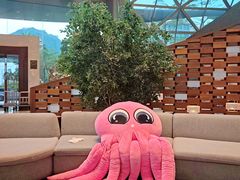 -深圳大梅沙京基洲际度假酒店