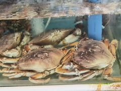 -Sasa的海(蜈支洲岛后海店)