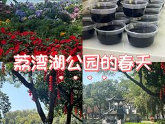 -荔湾湖公园