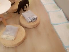 -浣熊柯尔鸭土拨鼠·电玩咖