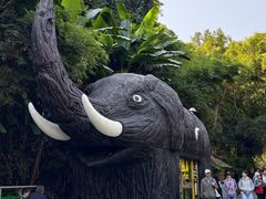 -野象谷景区