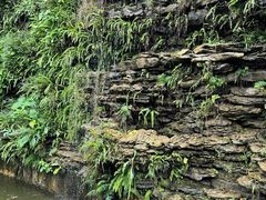 -广州神农草堂中医药博物馆