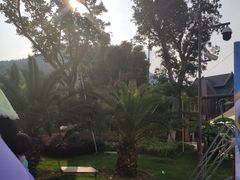 -苏州乐园森林水世界