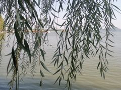 -东湖听涛景区